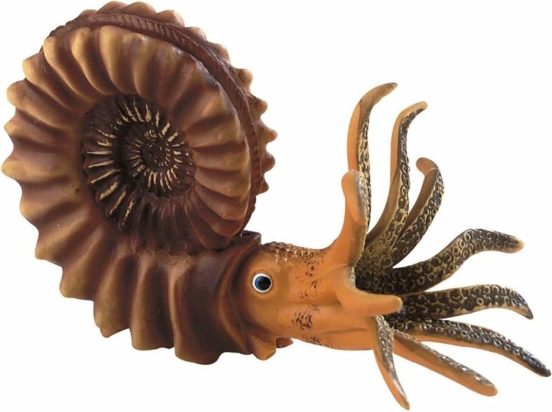 Ammonite Figurine  |  Play Figures & Vehicles Play Figures & Vehicles Play Figures & Vehicles