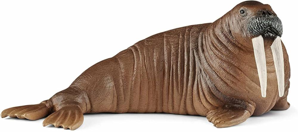 Schleich 14803 Walrus  |  Play Figures & Vehicles Play Figures & Vehicles Play Figures & Vehicles