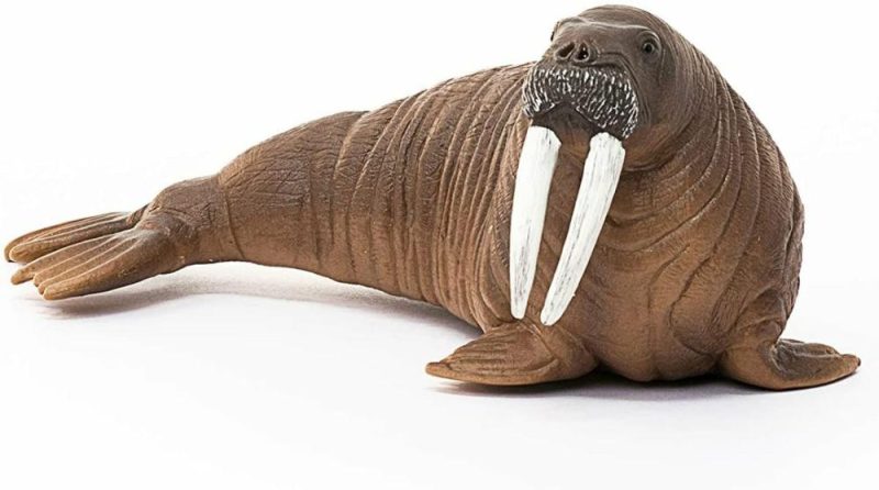 Schleich 14803 Walrus  |  Play Figures & Vehicles Play Figures & Vehicles Play Figures & Vehicles