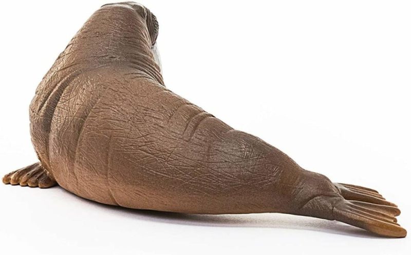 Schleich 14803 Walrus  |  Play Figures & Vehicles Play Figures & Vehicles Play Figures & Vehicles