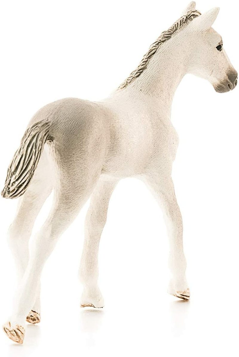 Schleich 13860 Holsteiner Foal Figure  |  Play Figures & Vehicles Play Figures & Vehicles Play Figures & Vehicles